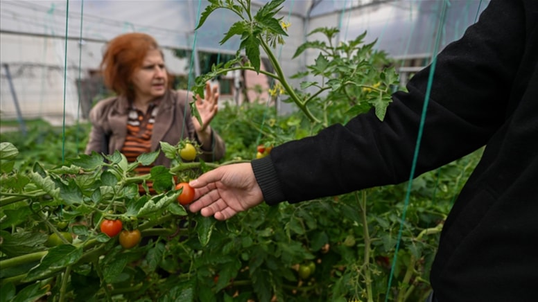 Psikiyatri hastalarına serada tarımla terapi