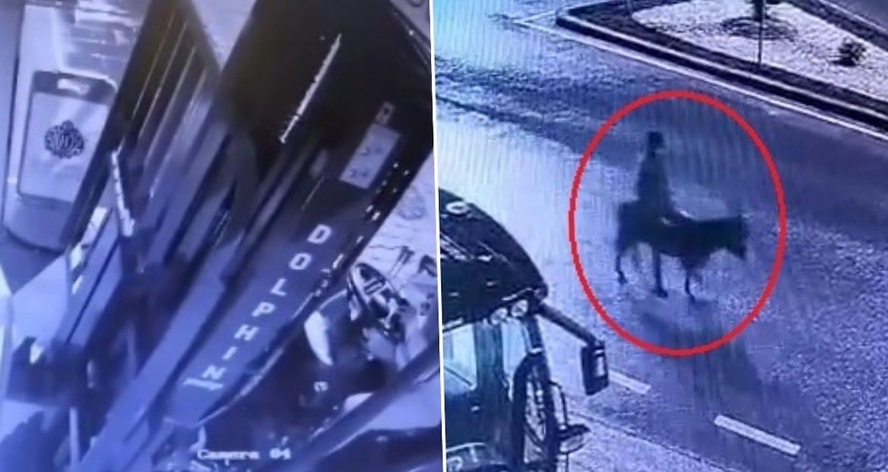 Forkliftle girdi, eşekle kaçtı! Kuyumcu soygununda ilginç plan