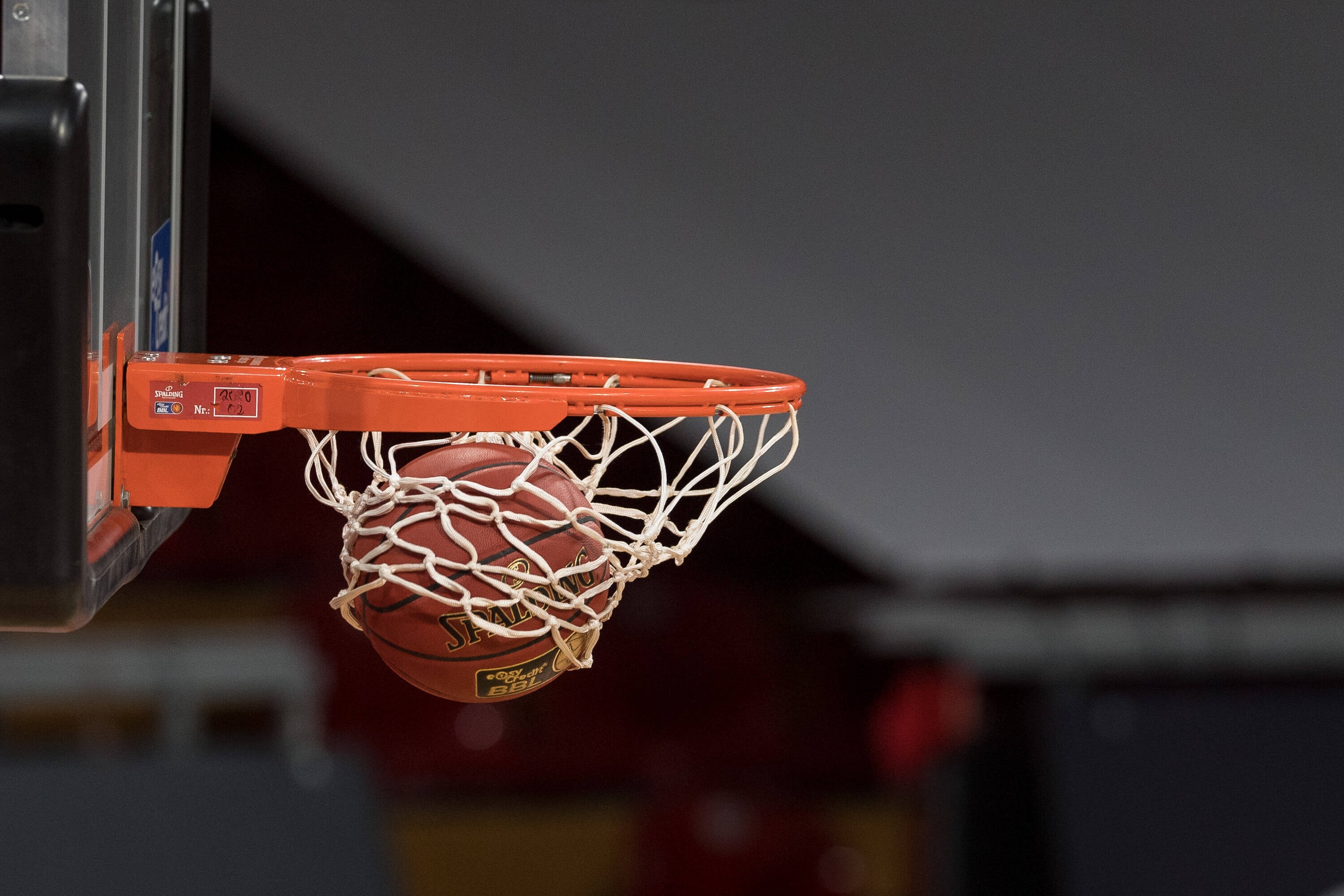 Kadınlar Basketbol Türkiye Kupası'nda kuralar çekildi