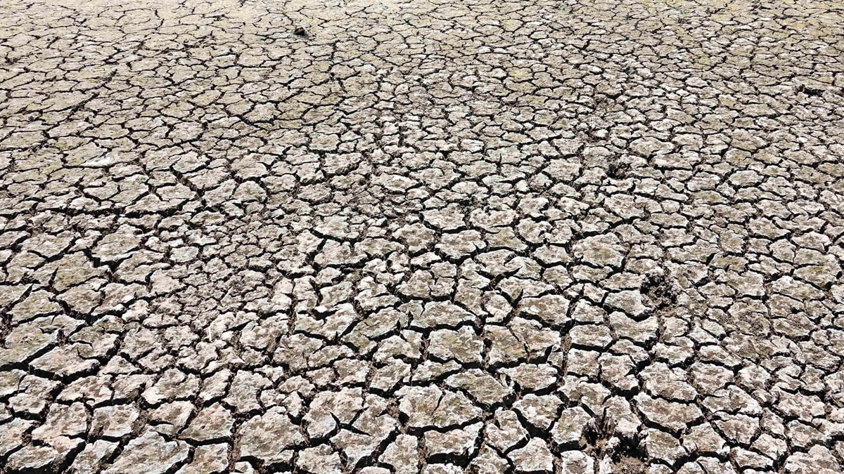 Türkiye kalıcı kuraklığa sürükleniyor