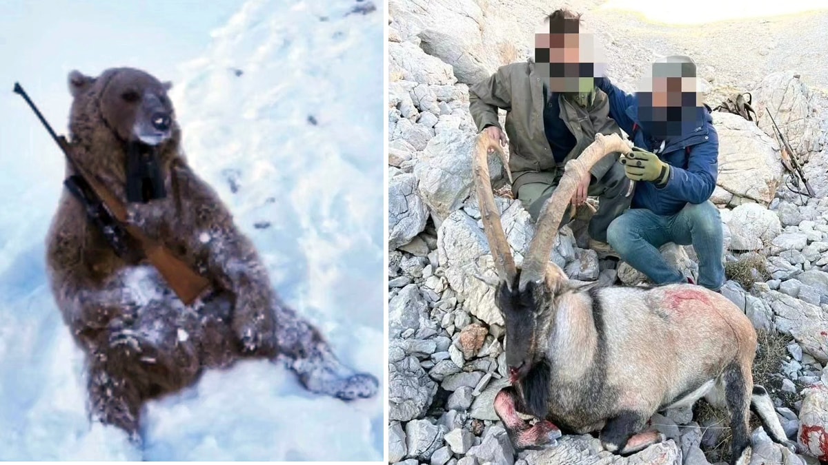 Kaçak avlanan 5 kişiye 5 milyon lira para cezası