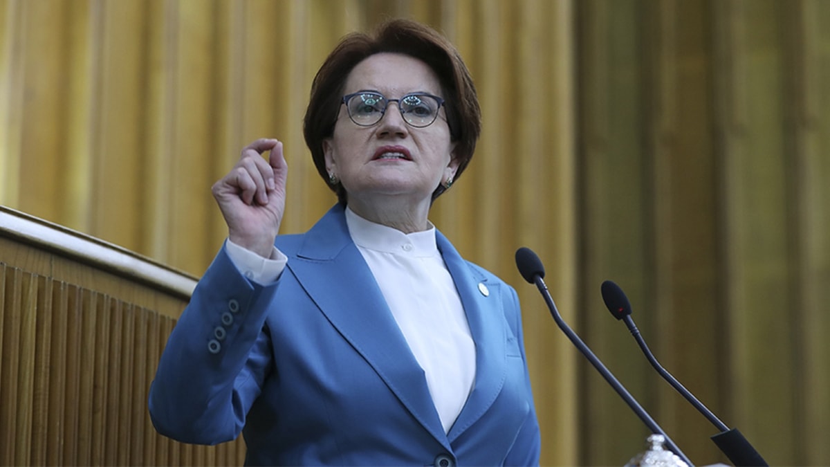 Meral Akşener'den Sinan Ateş açıklaması