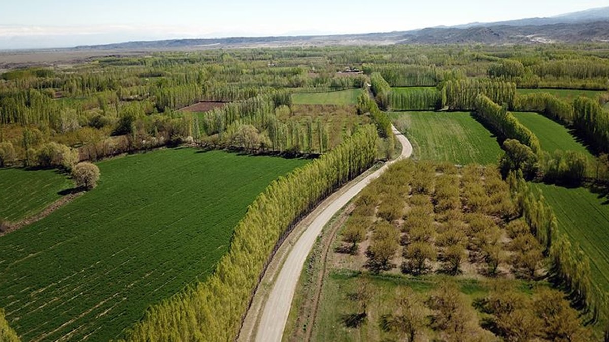 Yabancılara milyonlarca metrekare taşınmaz satıldı