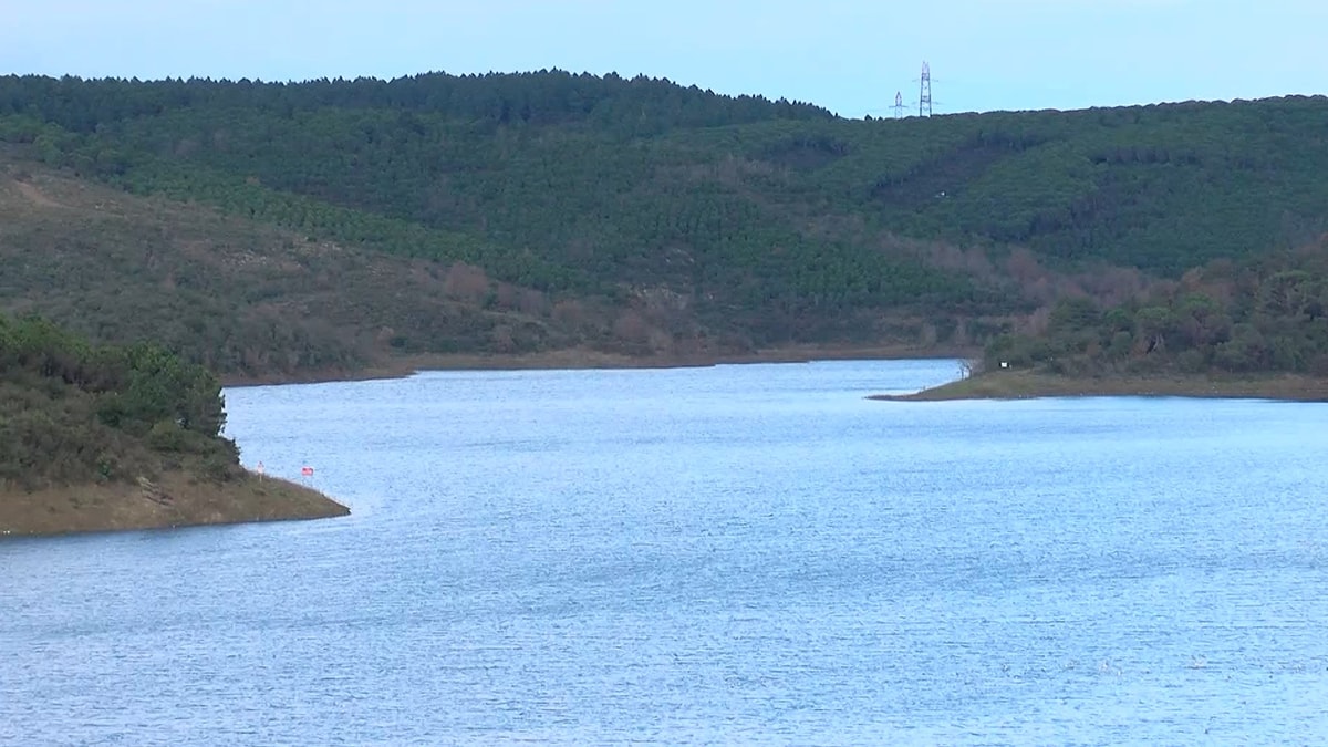 İstanbul'da barajların doluluk oranı yüzde 50'ye dayandı
