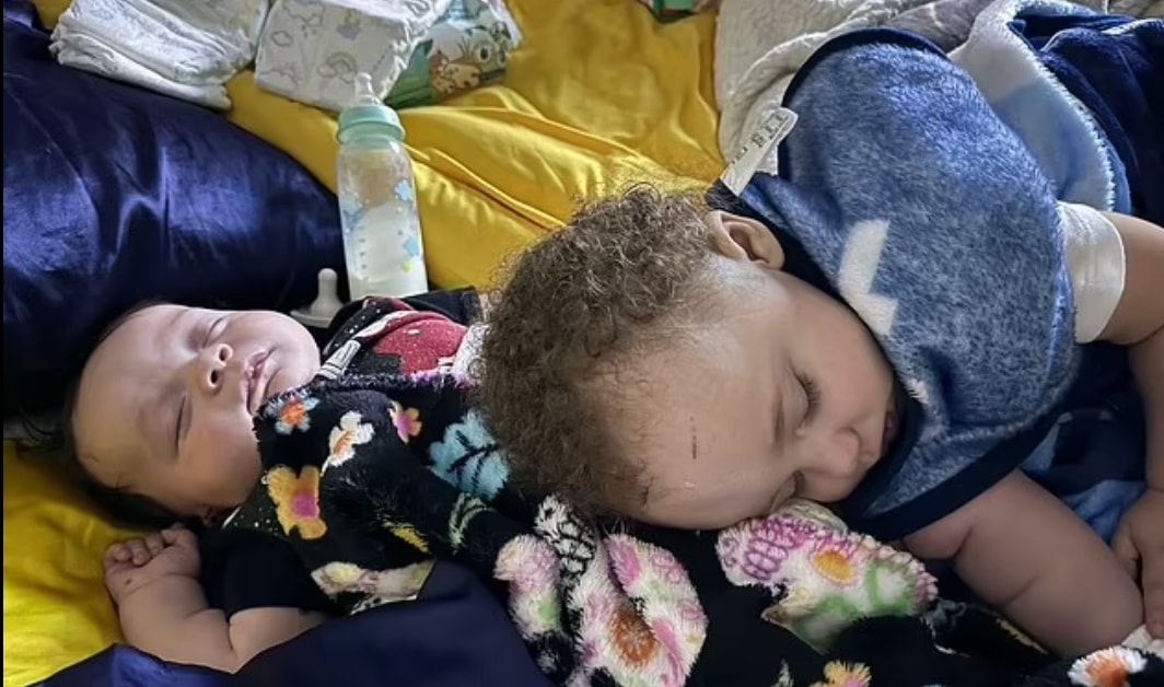 Mucize kurtuluş: Kasırgaya kapılan 4 aylık bebek ağaçta bulundu