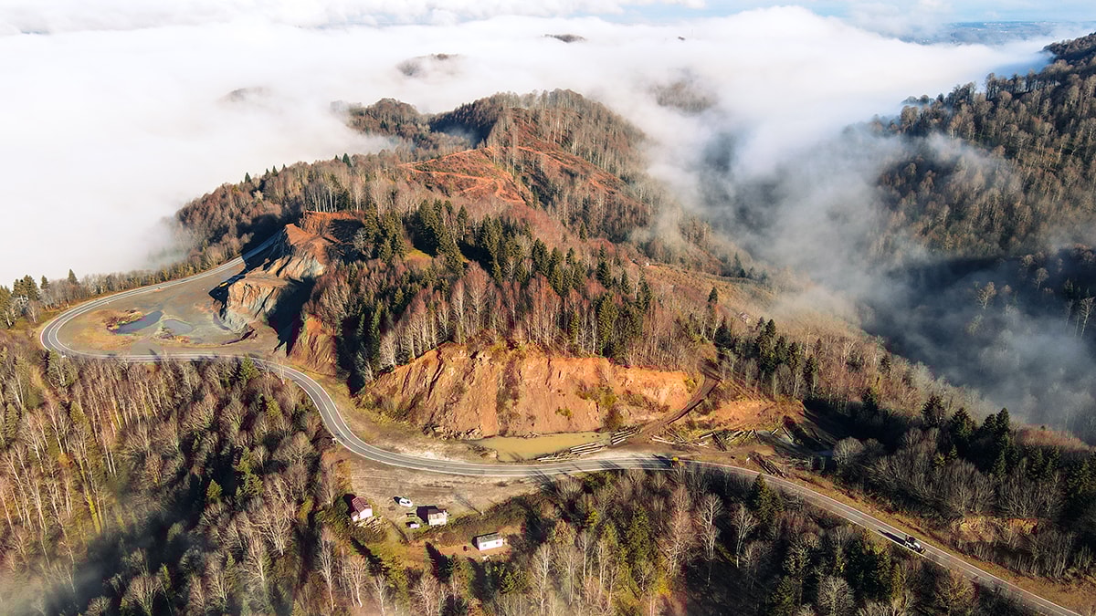 Çam Dağı'nda sonbahar renklerine sis filtresi