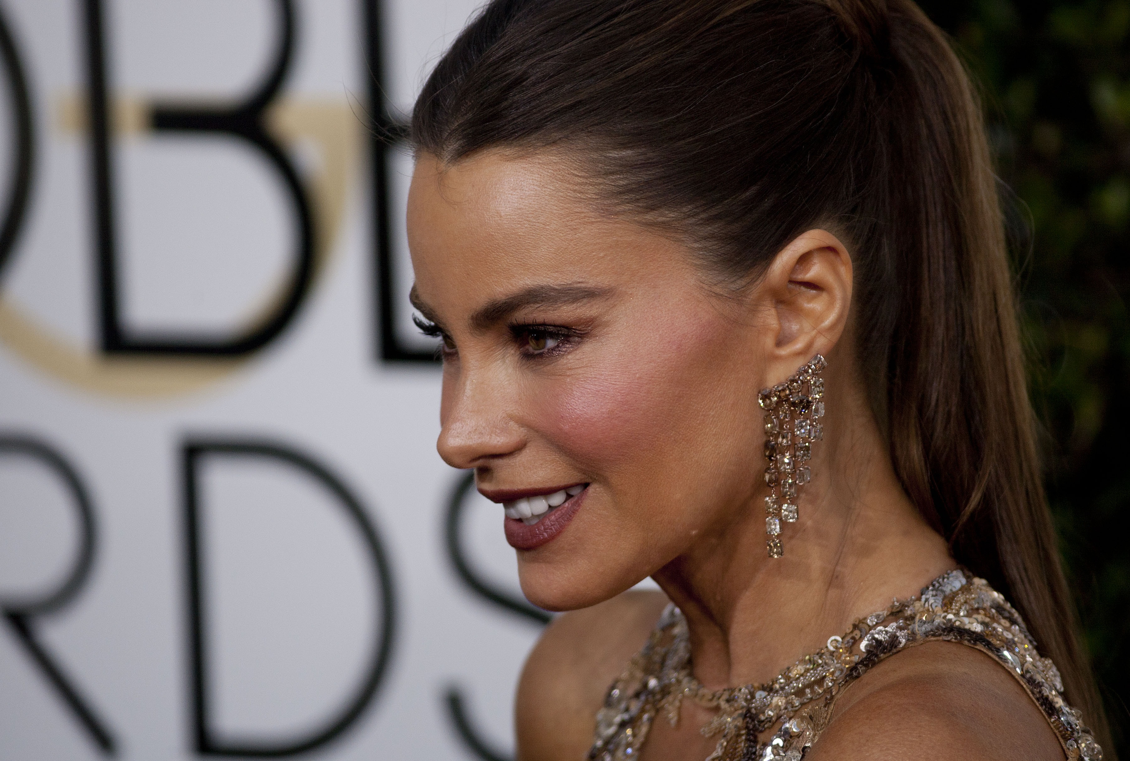 Ünlü oyuncu Sofia Vergara sapık hayranından kurtuldu