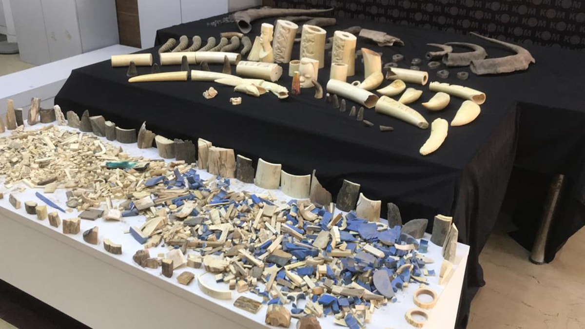 Polis baskınında ele geçirildi, piyasa değeri 4 milyon lira