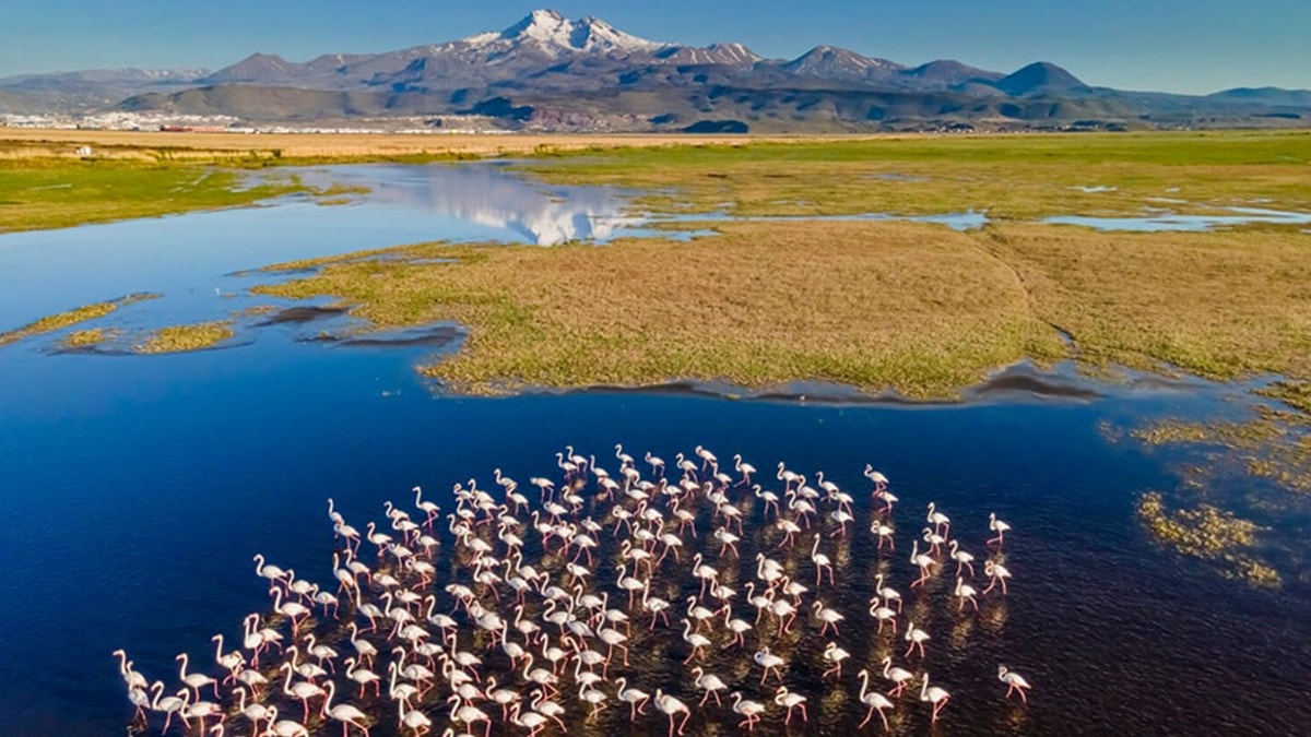 Danıştay'dan sulak arazide OSB'ye veto