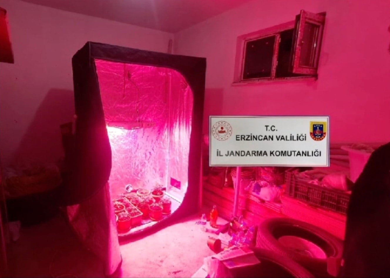 Evde kenevir yetiştirmek için iklimlendirme sistemi kurmuş