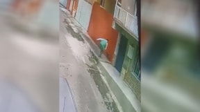 İzmir'de sokak kedisine keserli saldırı