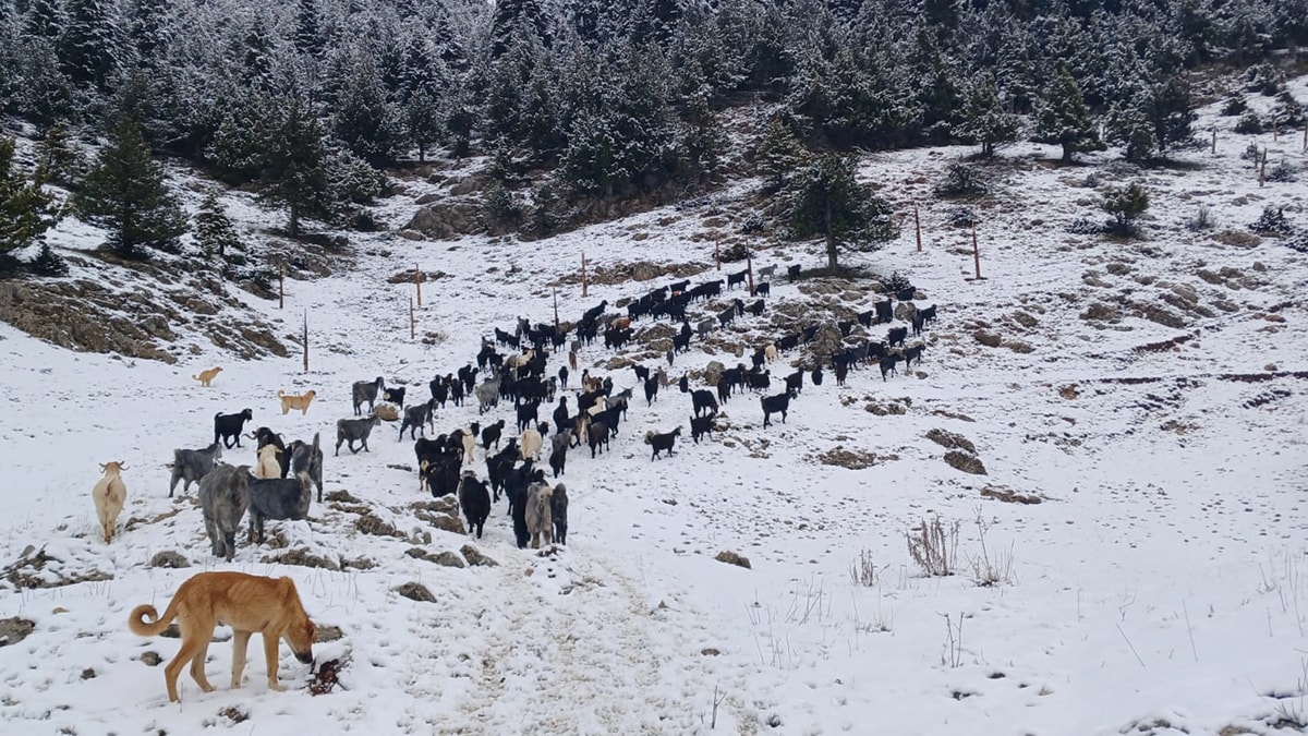 Deprem bölgesinde kar yağışı