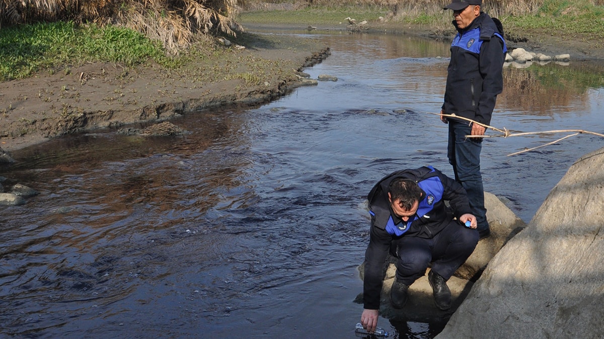 Balık ölümlerinden sonra Karasu Çayı'nda inceleme