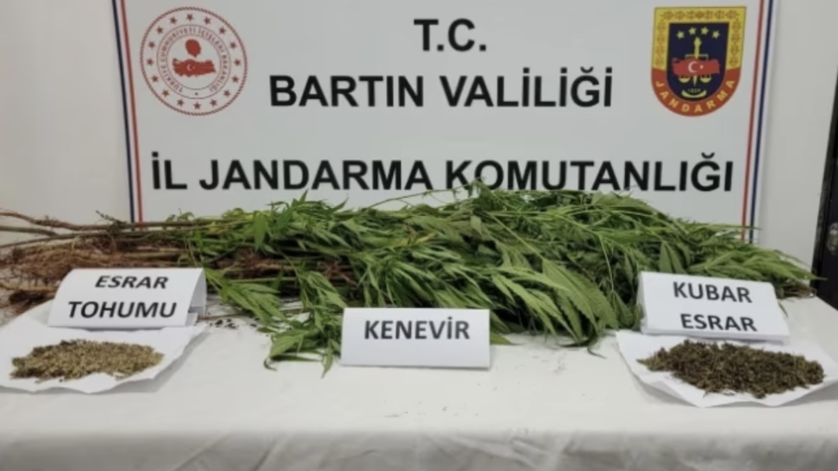 Hint keneviri ekerken fotokapana yakalanmıştı, cezası belli oldu