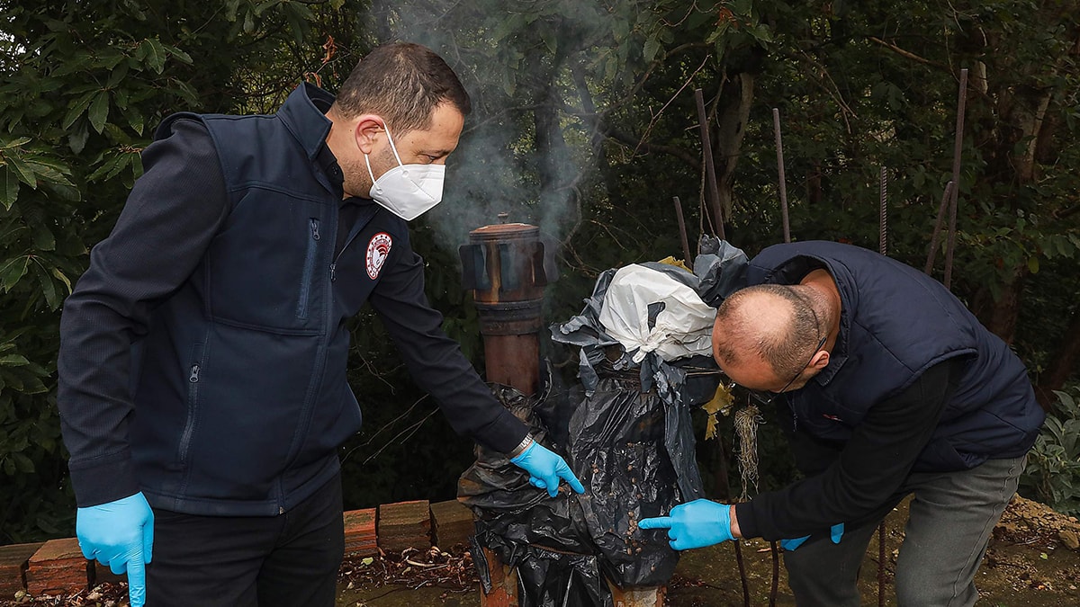 Fındığa kahverengi kokarca darbesi