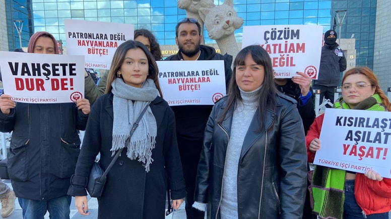 Ankara'da sokak köpeği gerilimi