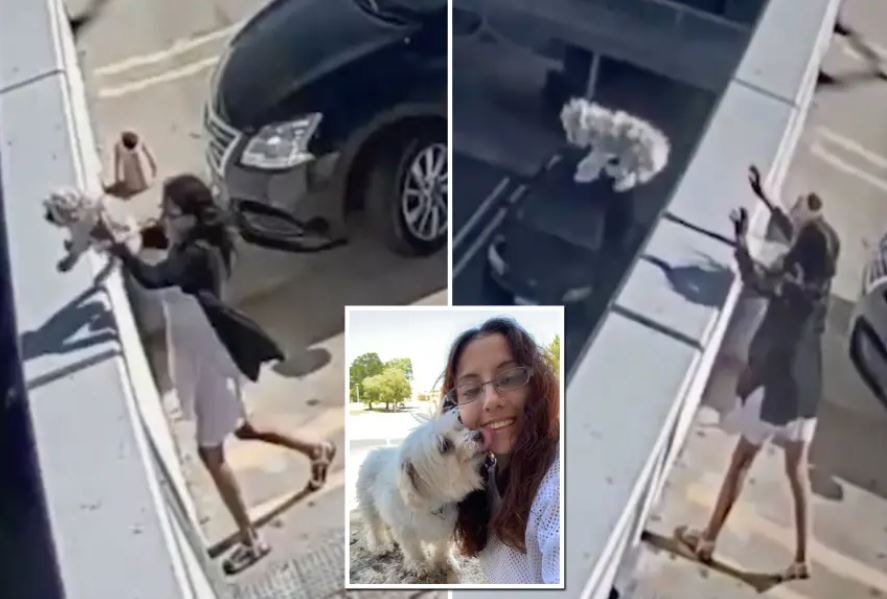 Korkunç görüntü: Köpeğini katlı otoparktan fırlattı