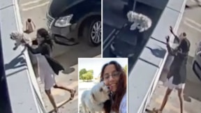 Korkunç görüntü: Köpeğini katlı otoparktan fırlattı