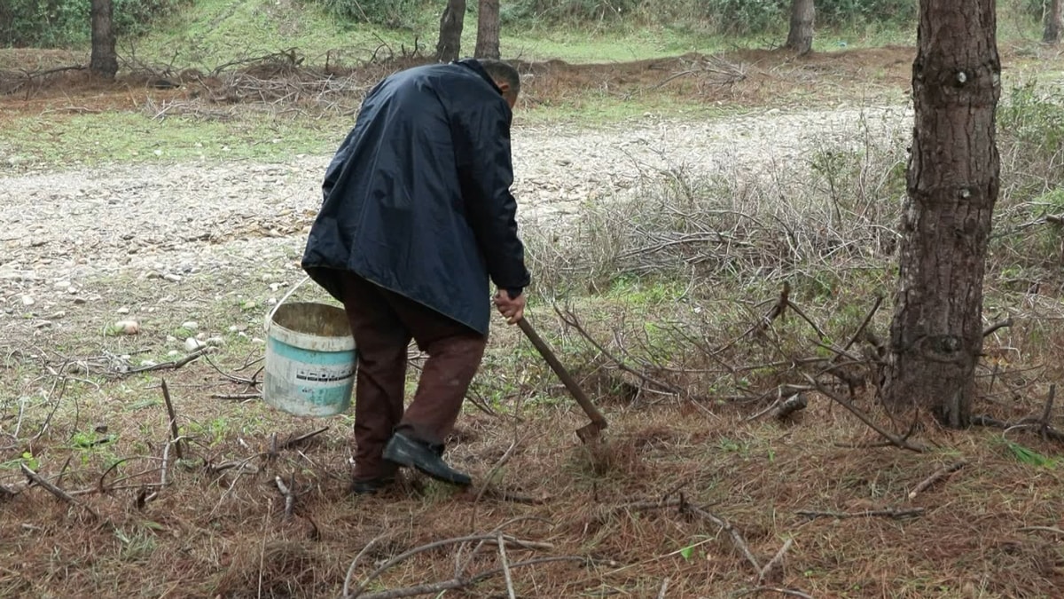 İstanbul'da alarm: 11 kişi zehirlendi