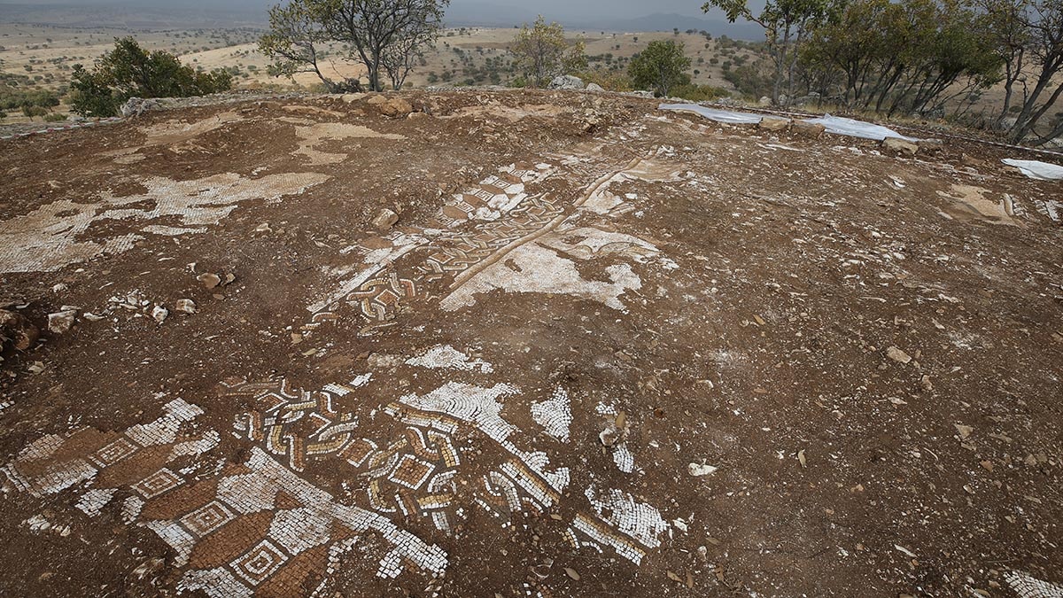 Mardin'de deniz canlıları figürlü mozaikler bulundu