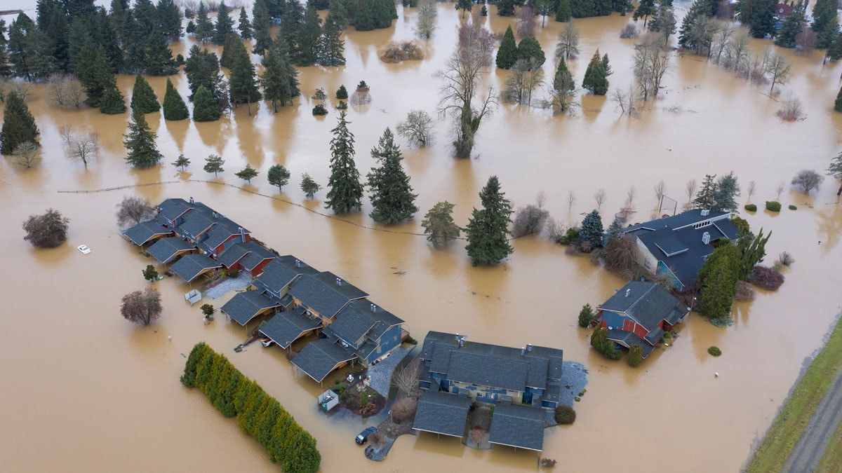 3,2 milyondan fazla kişi iklim değişikliği nedeniyle taşındı