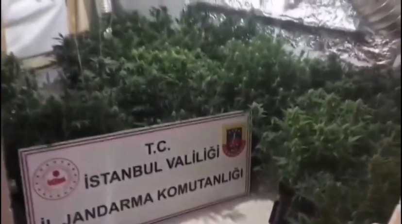 Uyuşturucu serasına çevrilen kiralık villaya baskın