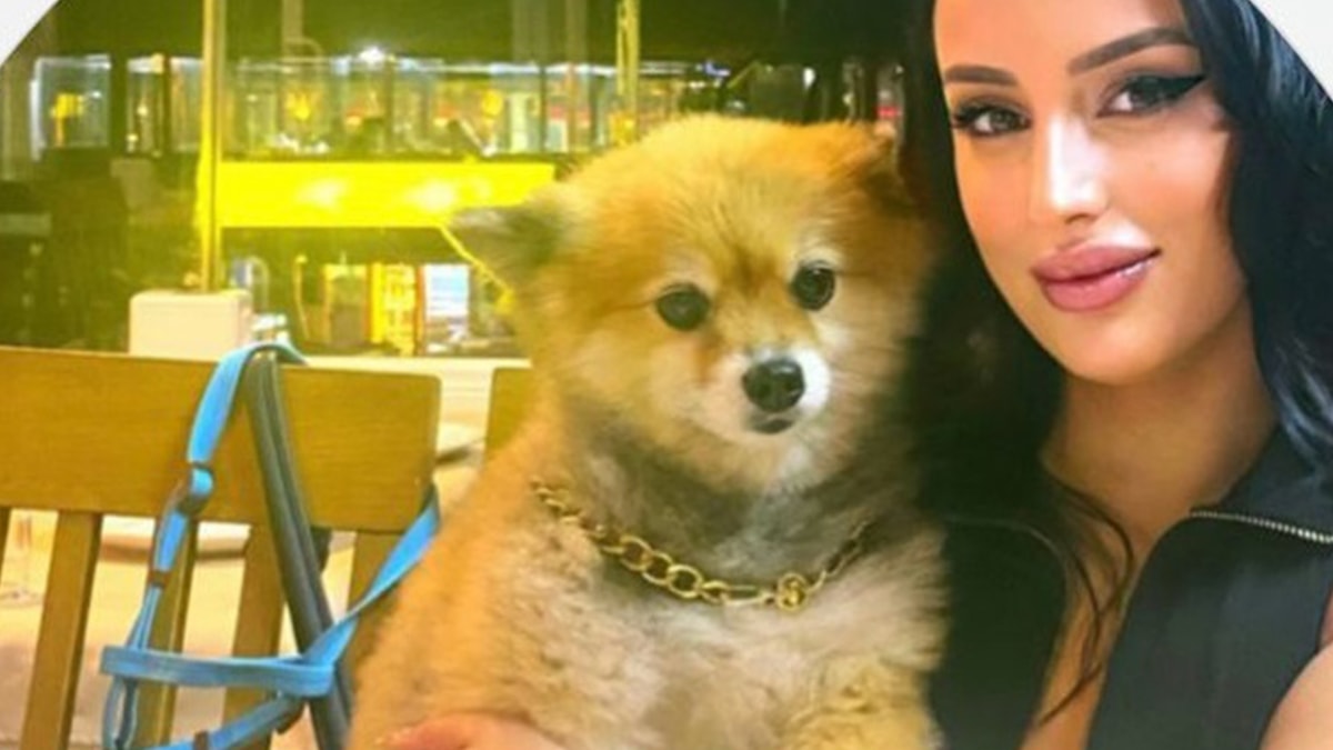 Genç kadını önce vurdu sonra "Sibel'imi yaşatın" diye bağırdı