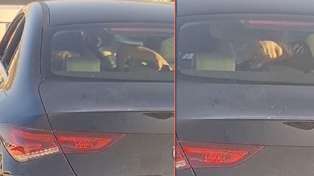 Sosyal medyada gündem olmuştu... Polis o kadına ulaştı