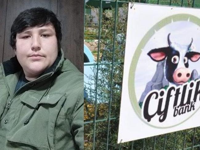 Tosuncuk ve ağabeyine 'bank' cezası