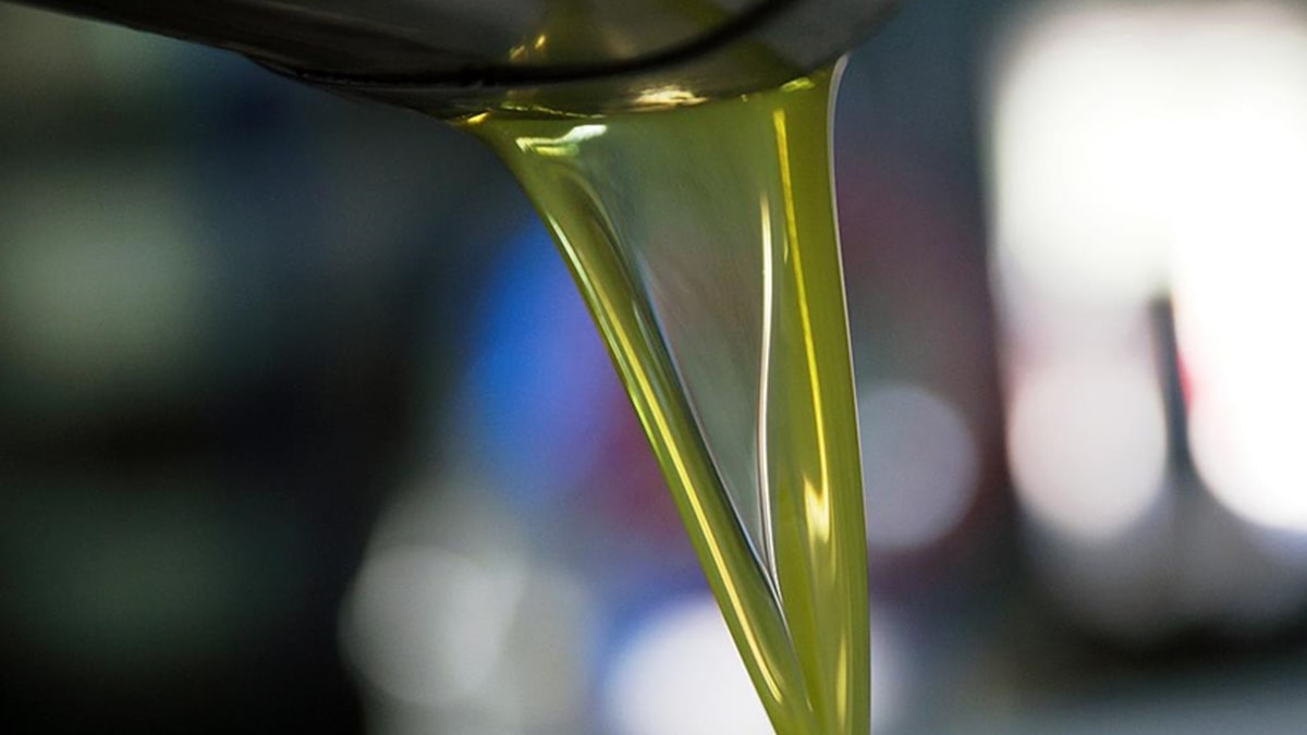 Sahte zeytinyağı satışına 479 bin TL ceza