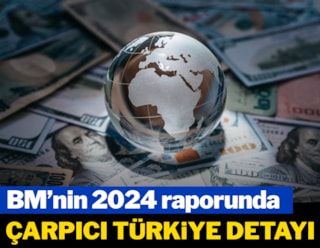 BM'den 2024 küresel ekonomi raporu: Çarpıcı Türkiye detayı