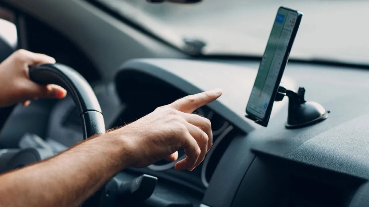 Mahkemeden Martı kararı: Korsan taşımacılık cezası iptal oldu