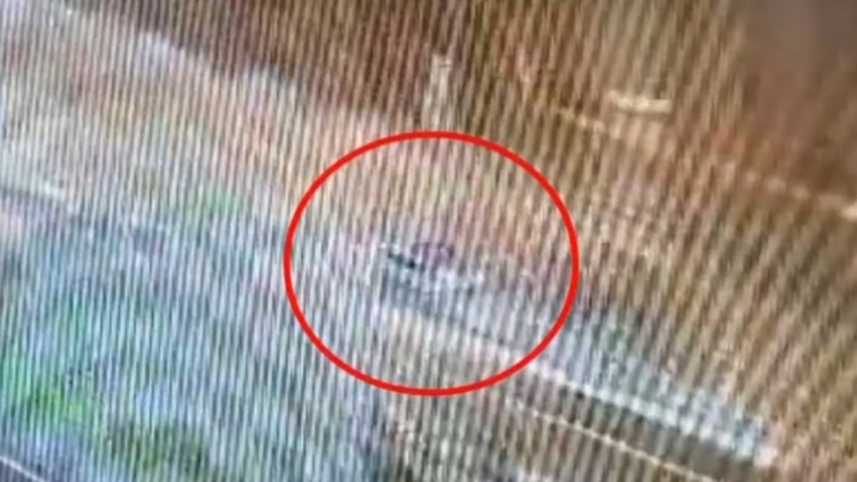 Ehliyetsiz sürücü böyle dehşet saçtı