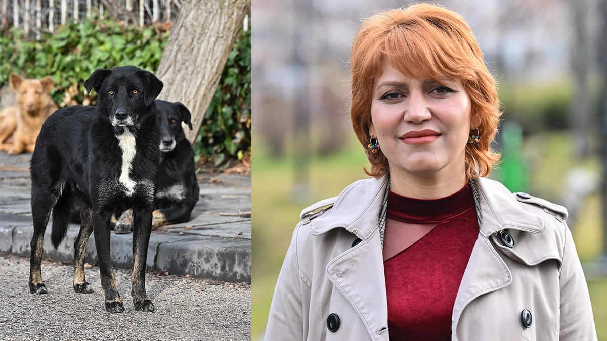 Köpeklerin saldırdığı Demet hemşire zor kurtuldu