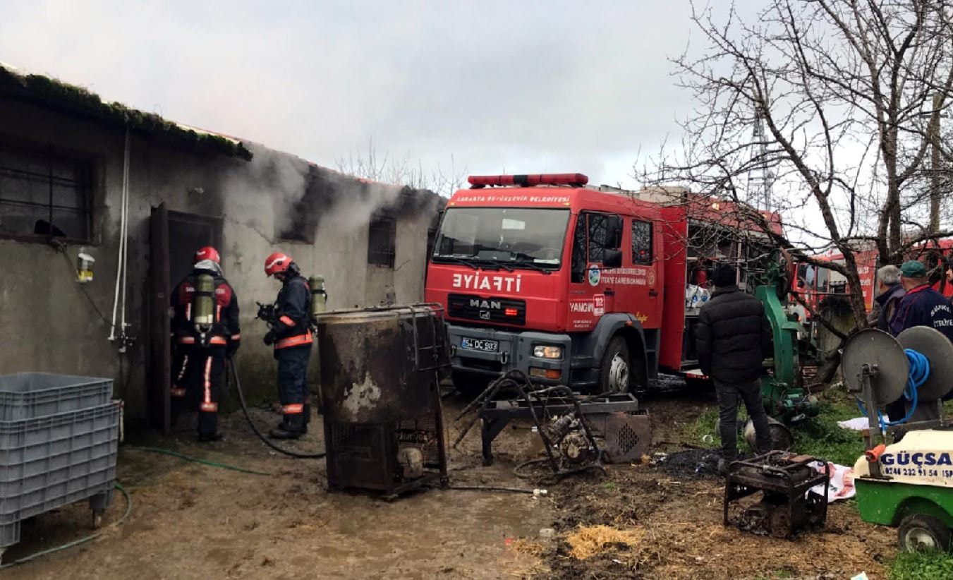 Ahırda yangın çıktı, 9 hayvan zehirlenerek öldü