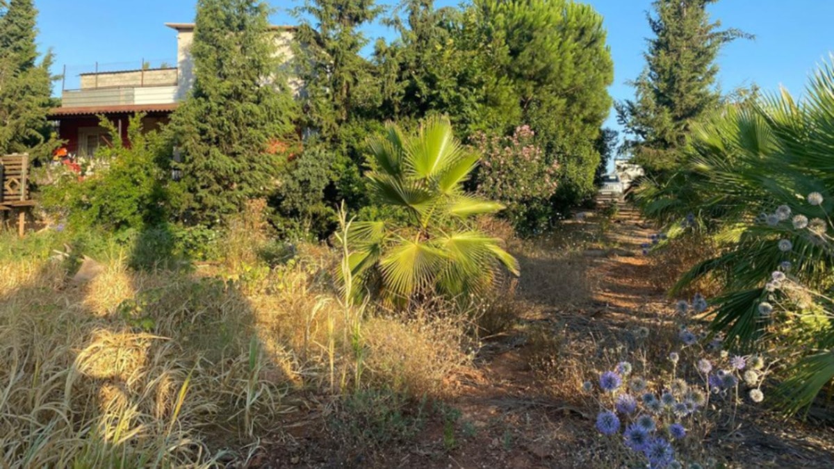 Evinin bahçesinde 6 kilo eroin bulundu... Beraat etti