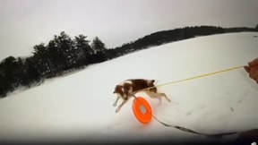 Donmuş göle düşen adamı köpeği ve polis kurtardı