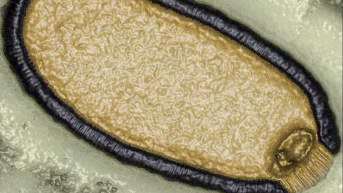 Bilim insanlarından zombi virüs uyarısı: Ölümcül yeni salgın yolda