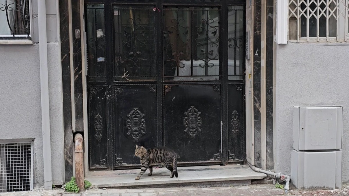 İstanbul'da çifte vahşet: İki kadını defalarca bıçakladı