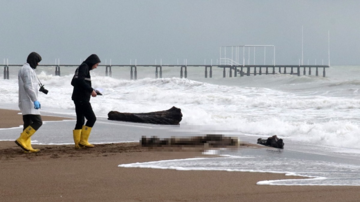 Sahillerde ne oluyor? Bu kez Muğla'da kadın cesedi bulundu