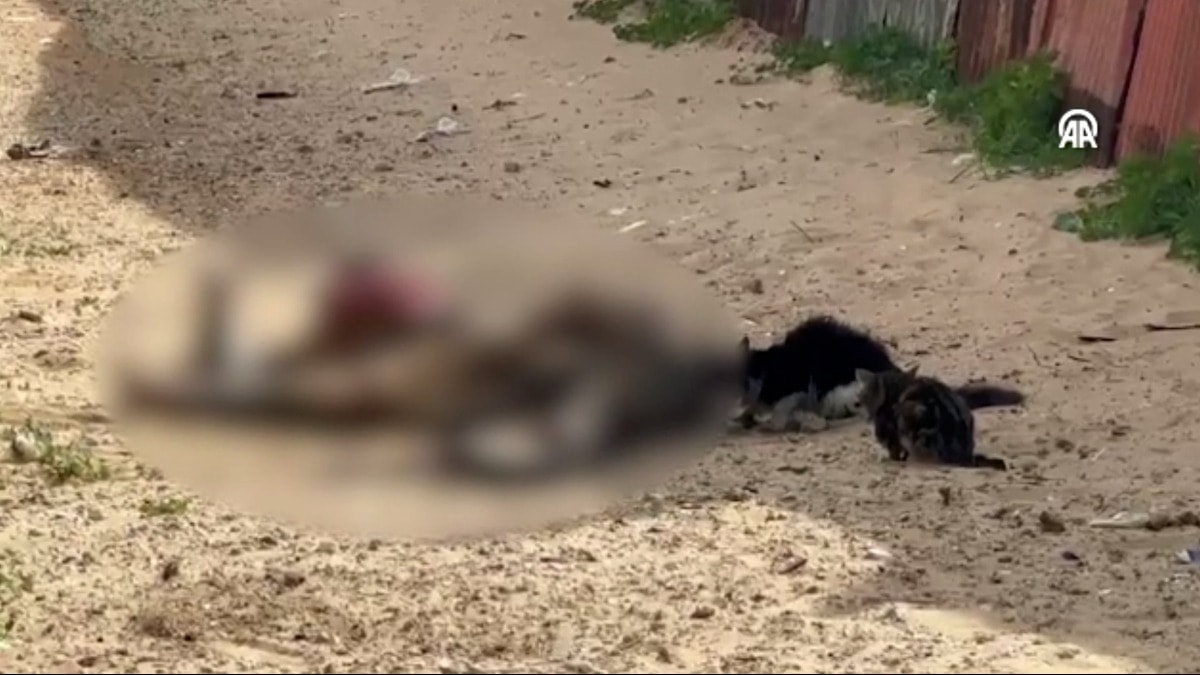 Gazze'de kan donduran görüntü: Filistinlilerin cansız bedenleri sokakta