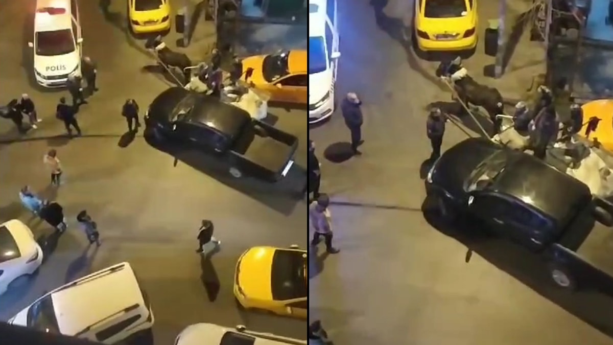 At arabalı hırsızları takip edip böyle yakalattı