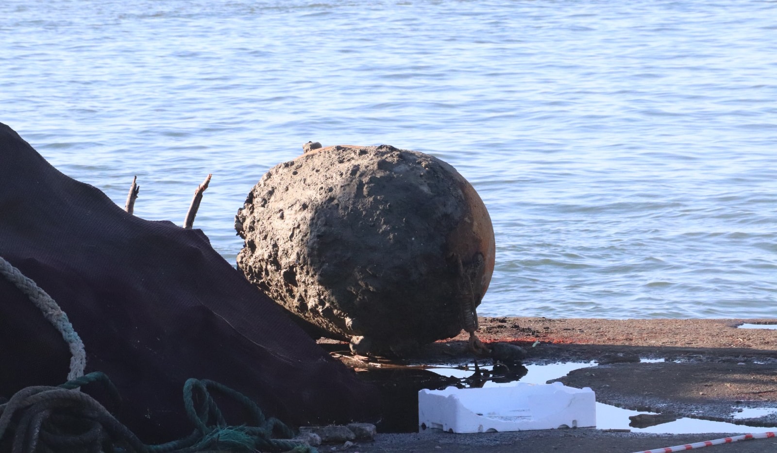 Balıkçı ağılarına takıldı İstanbul'dan özel ekip talep edildi