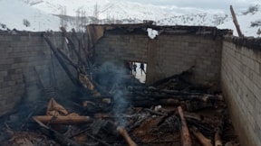 Bitlis'te yangın: 115 küçükbaş hayvan öldü