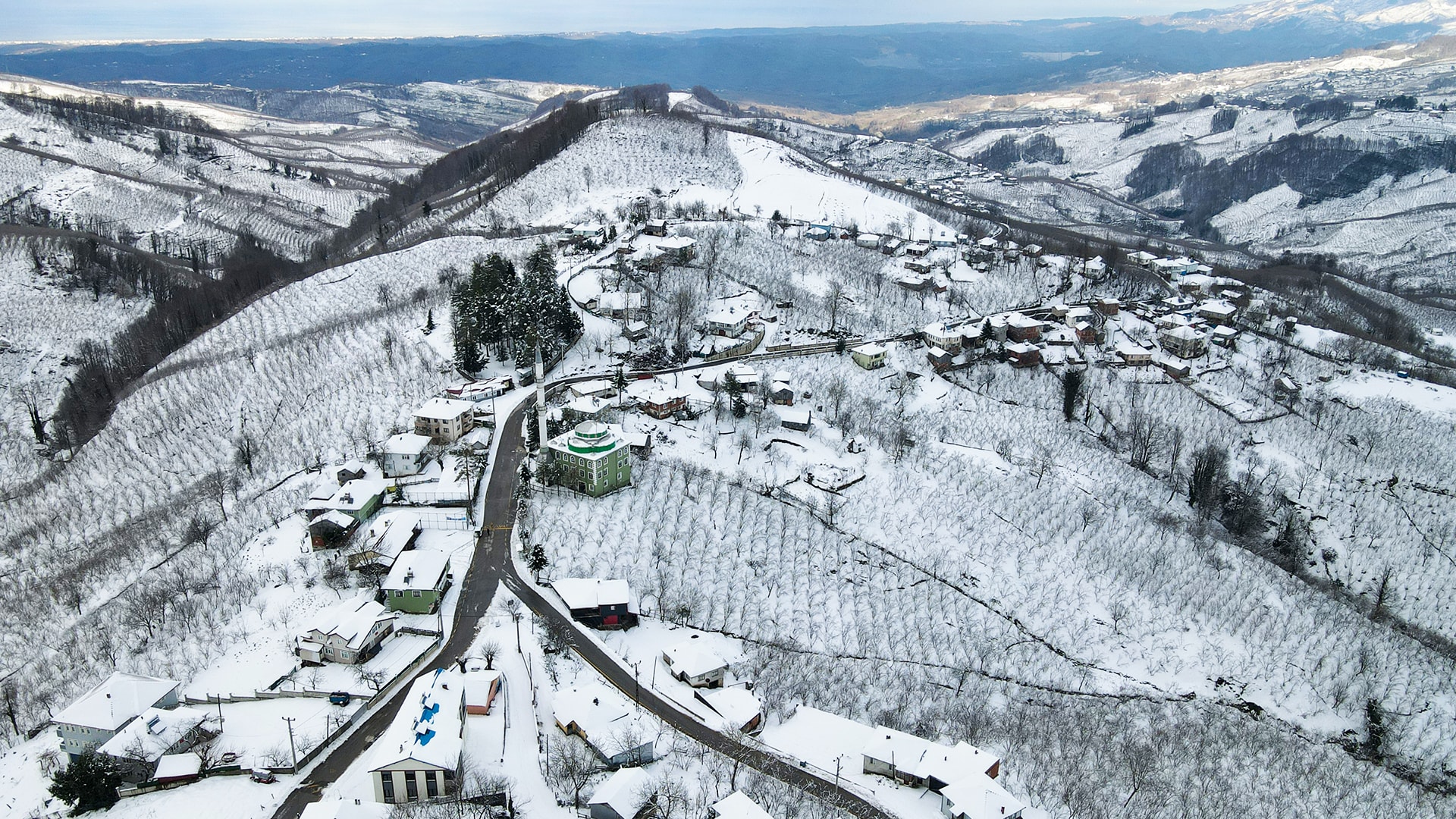 Çam Dağı'nın eteklerini kardelenler süsledi