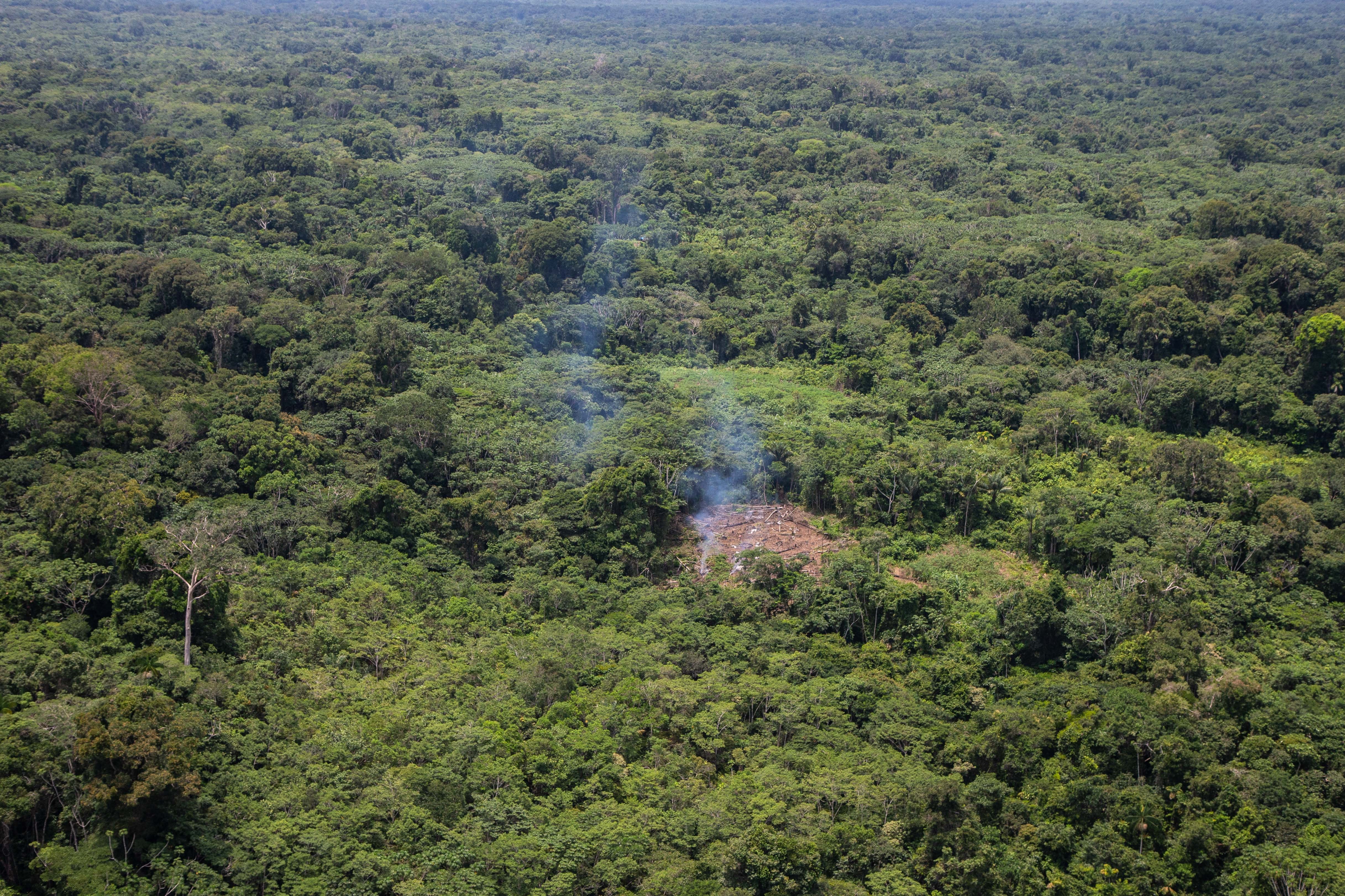Amazonlar'daki kuraklığın nedeni küresel ısınma
