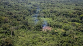 Amazonlar'daki kuraklığın nedeni küresel ısınma