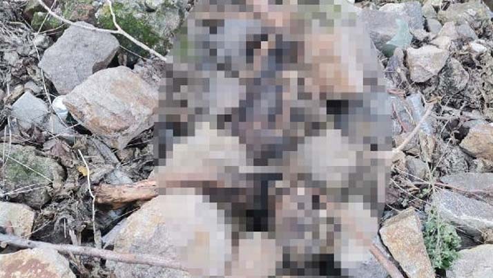 İzmir'de korkutan görüntü: 1 yıllık iskelet bulundu