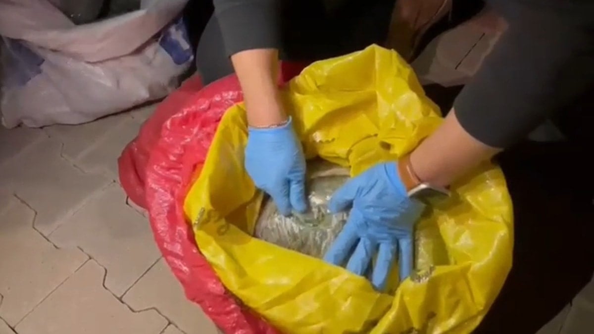 Bingöl'de 3 kilo 257 gram esrar ele geçirildi