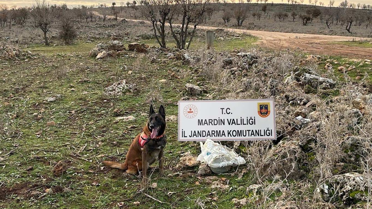Dargeçit'te yola tuzaklanan EYP bulundu